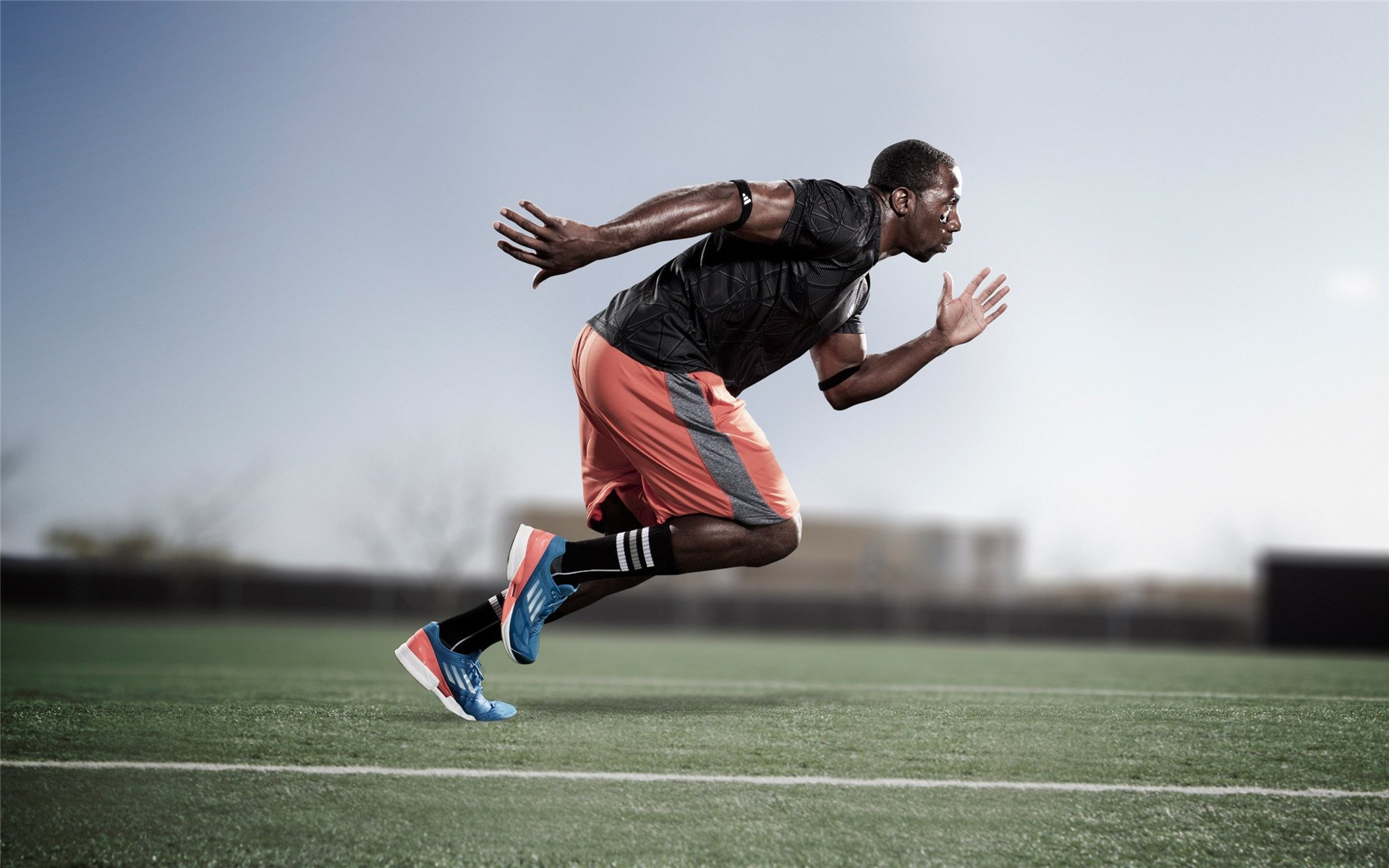 【BSPORTS】国际帆船赛圆满落幕 东道主队勇夺冠军