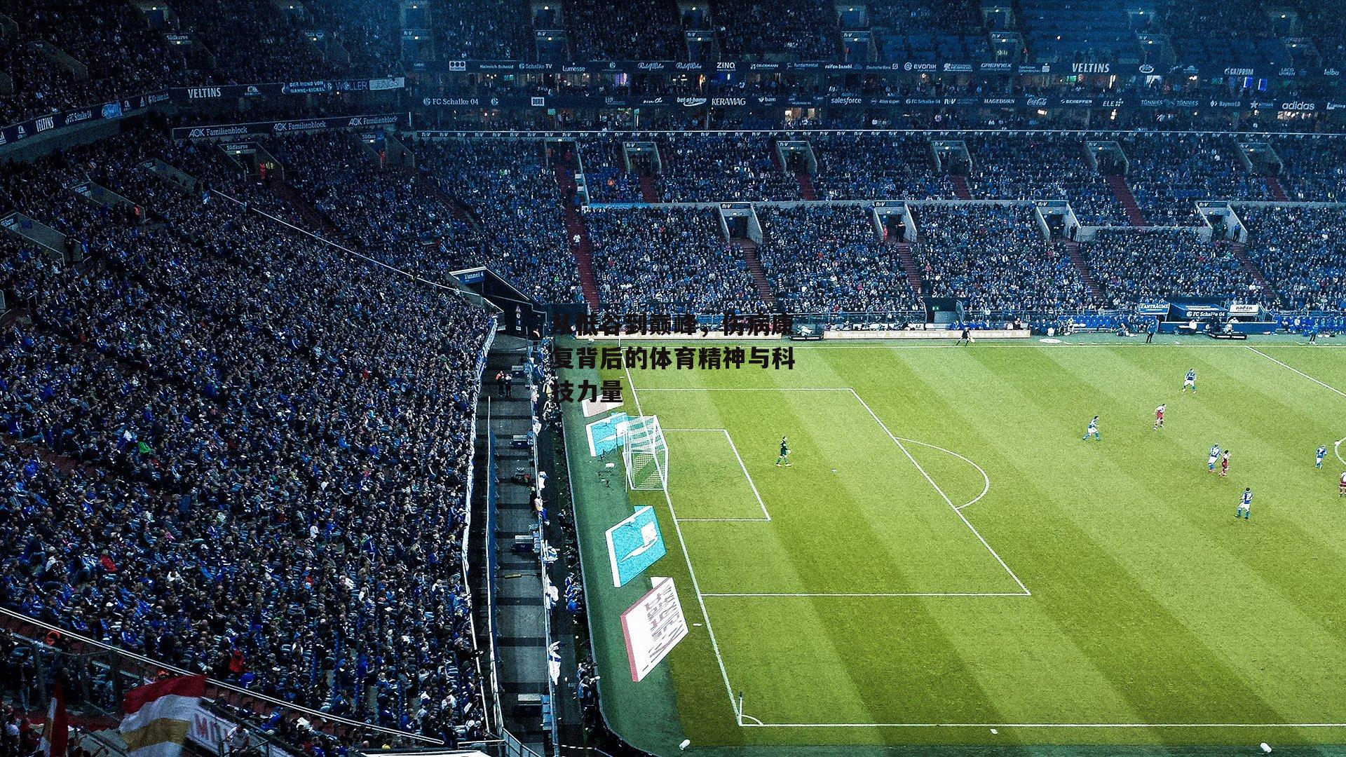 从低谷到巅峰,伤病康复背后的体育精神与科技力量