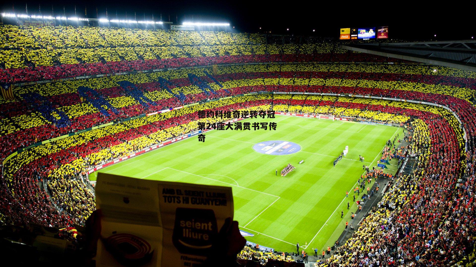 德约科维奇逆转夺冠 第24座大满贯书写传奇