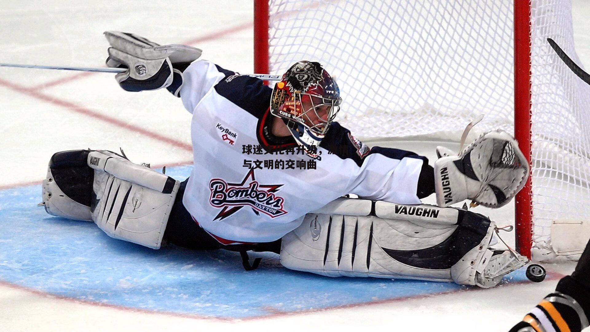 球迷文化再升级，激情与文明的交响曲