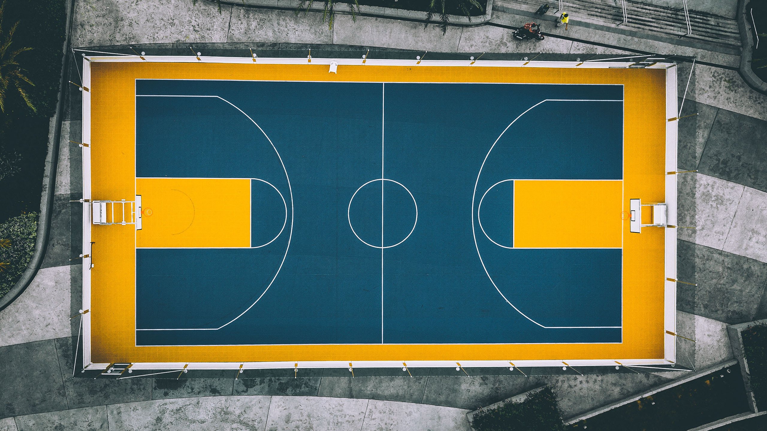 中国滑雪健儿再创佳绩 国际雪联世界杯分站赛斩获两金|BSPORTS